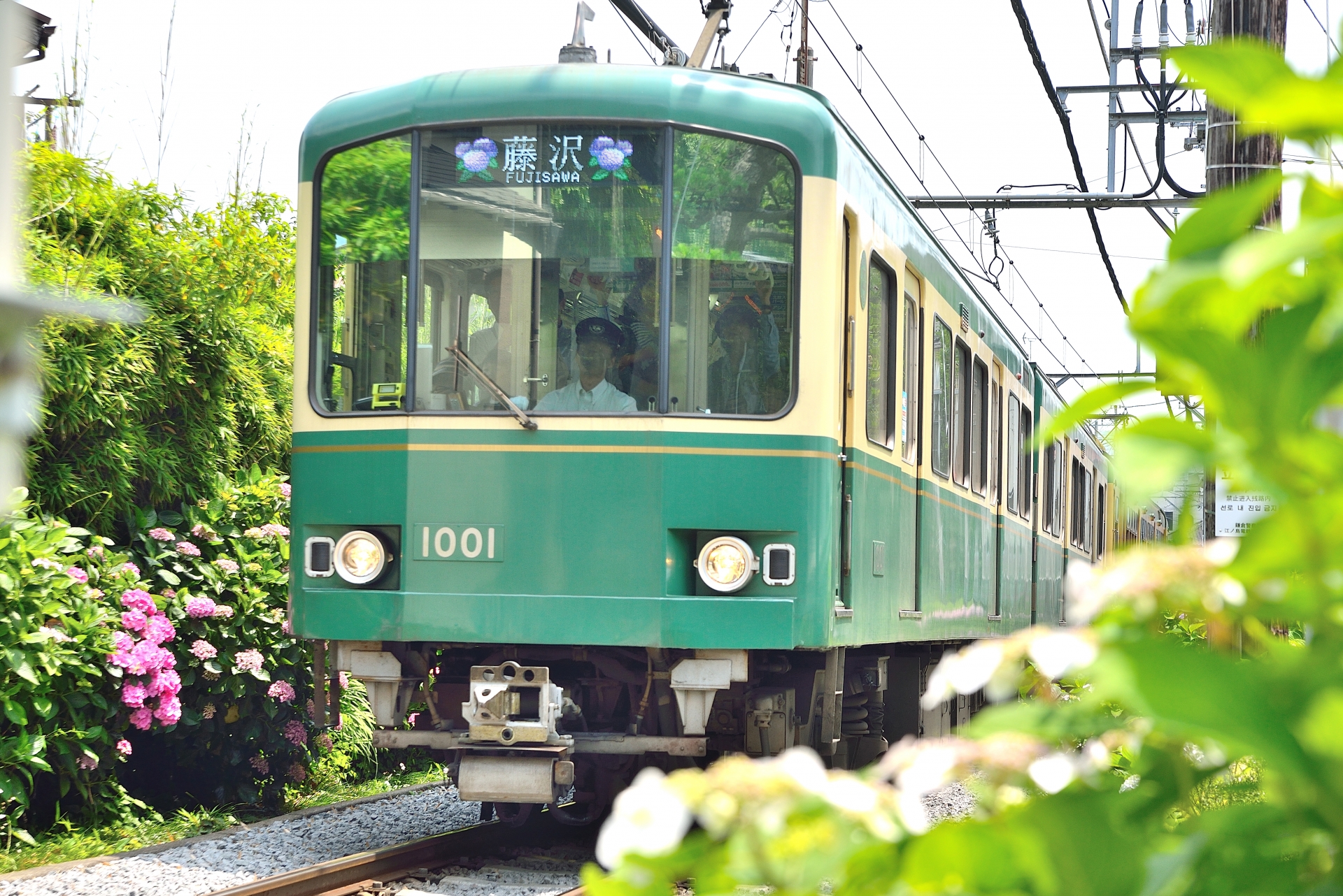 鎌倉観光】江ノ電に乗って人気スポットをめぐるおすすめ観光モデル